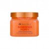 Скраб для тіла Tree Hut Sunkissed Poppy Sugar Scrub 510g — квітковий аромат з нотами фруктів, календула — вигляд товару