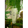 Крем-гель для душу La Sultane de Saba Shower Cream Ginger Green Tea 200ml — з екстрактами алое вера, лотосу та меду, для всіх