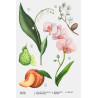 ZARA Orchid 180ml — чуттєвий шлейф з мускусу, деревини та амбри, створений в Іспанії — вигляд товару