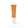 Theramid C-Tetra E.F. 10ml — підвищення еластичності, уповільнення старіння, повернення блиску та здорового вигляду шкіри —