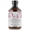 Шампунь Davines Naturaltech Replumping Shampoo 250ml — зволожувальний засіб для ущільнення волосся, екстракт чорнослива —