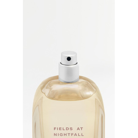 ZARA Fields At Nightfall Blush 100 ml — kvitkoviy, derevniy aromat, teplyy, obvolyuyuchyy shleyf, dlya vesnyno-litnogo sezony —