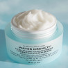 Крем зволожуючий Peter Thomas Roth Water Drench Hyaluronic Cloud Cream з гіалуроном 30% 50 мл — утримання вологи до 72 годин,