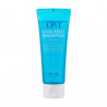 Освіжаючий шампунь CP-1 Cool Mint Shampoo 100 мл — інтенсивне охолодження, освіжаючий ефект, для всіх типів волосся — вигляд