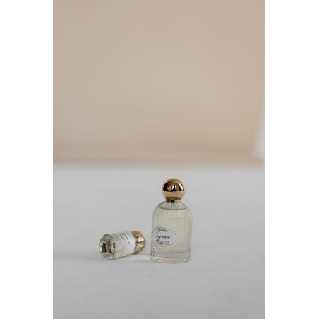 Парфумована вода Bibliotheque Icy Wave 100ml — акватичний парфум, для яскравих настроїв, амбітних планів — фото 1