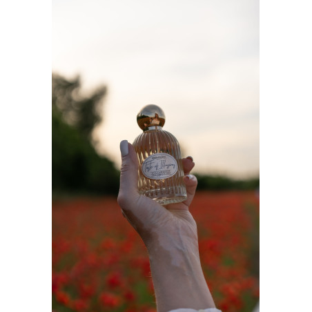 Парфумована вода Bibliotheque Taste Of Illusions 100ml — вершково-фруктовий аромат з квітковими нотами, для жінок, з нотами