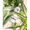 Спрей заспокійливий для обличчя Circadia Aloe Calendula Calming Facial Mist з алое, календулою та морськими водоростями 118 мл