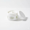 Маска-флюїд для волосся Orising ArgORising Perfect Hair Fluid для сухого волосся з лічі, хвощем та арганою 250 мл —