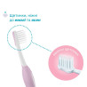 Зубна щітка Chicco First Milk Teeth 6-36 mesi months рожева — ідеальна для малюків 6-36 місяців, зручна для батьків та дитини,