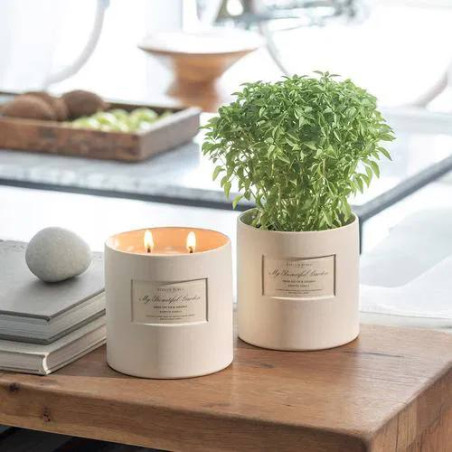 Аромасвічка Atelier Rebul Fresh Cut Fig Coconut Scented Candle 650g — зелені верхні ноти дерев'яна серцевина, фігове дерево з