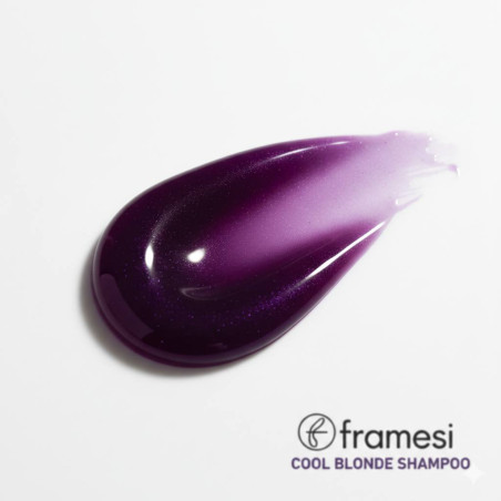 Framesi Decolor B Cool Blonde Shampoo 250 мл — фіолетові пігменти для холодного відтінку, м'яке очищення без пересушування —