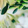 Засіб Davroe Ends Repair 150ml — наноситься на кінчики, не змивається, надає природного блиску аплікація