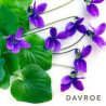 Тонуючий шампунь Davroe Blonde Senses Platinum 100ml — освітлення, відновлення блиску, екстракт фіалки, фіолетовий пігмент —