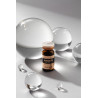 Dr. Scalp Anagen Ampoule 10×7ml — запатентований комплекс DSK-21, ніацинамід, трипептид міді, екстракт кореня женьшеню, глибоке