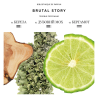 Парфумована вода Bibliotheque Brutal Story 16ml — універсальний для ділових зустрічей та вечірніх виходів — аплікація