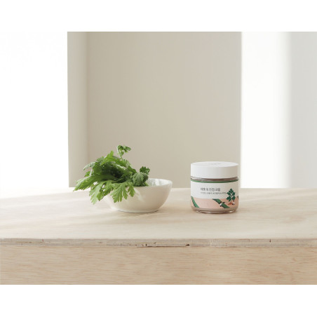 Заспокійливий крем Round Lab Mugwort Calming Cream 80 ml — з мадекасосидом, пантенолом та бетаїном, зволожує та заспокоює