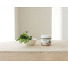 Заспокійливий крем Round Lab Mugwort Calming Cream 80 ml — з мадекасосидом, пантенолом та бетаїном, зволожує та заспокоює