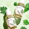 Сироватка Round Lab Mugwort Calming Serum 50ml — комплекс 4-cica для заспокоєння, підвищення захисного бар'єра, контролю