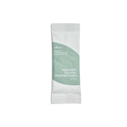 IsNtree Mugwort Calming Powder Wash 1g — ензимна пудра для вмивання проблемної шкіри, екстракт полину, папаї, сіль Мертвого