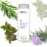 Глибокоочищувальний шампунь Framesi Morphosis Scalp Cleansing 250ml — видалення ороговілих клітин, антиоксидантна дія — вигляд