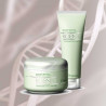 Зволожувальний крем-кондиціонер Framesi Rigenol Conditioner 250ml — відновлення водного балансу, пом'якшення, полегшення