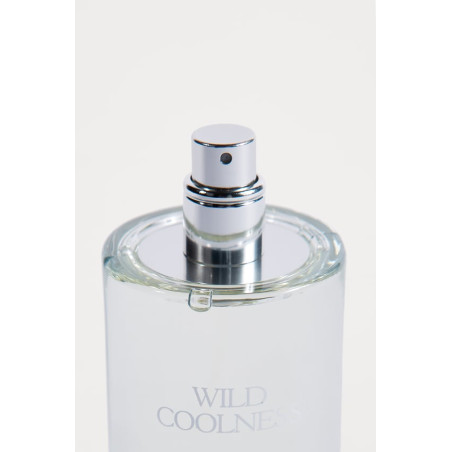 Zara Wild Coolness 100ml — парфумерна вода для чоловіків, цитрусовий аромат, свіжі ноти, пряний кардамон, бензоїн — вигляд