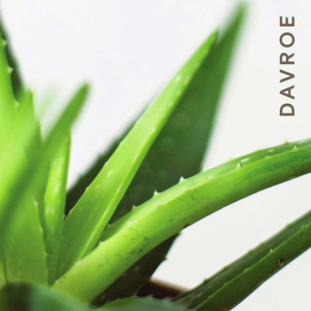 Шампунь для чутливої шкіри голови Davroe Scalp Remedy Shampoo 325 ml — глибоко очищує шкіру, нормалізує роботу сальних залоз —