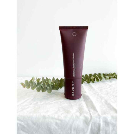 Відновлювальний крем Davroe Replenish Jojoba Creme 50ml для пошкодженого волосся, захист фарбованого волосся, повернення блиску