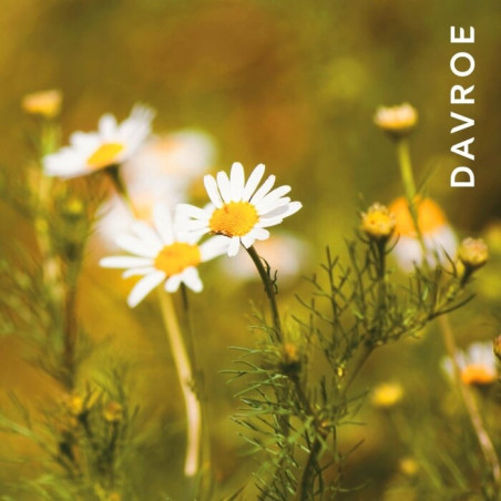Кондиціонер для світлого волосся Davroe Blonde Senses Platinum 100ml — пом'якшення, блиск, розплутування, екстракт ромашки —