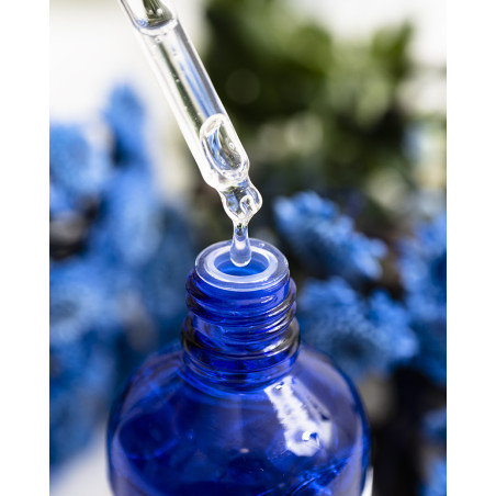 Pyunkang Yul Moisture Ampoule 100ml — ампульна есенція з консистенцією рідкого меду, стимулює синтез колагену, інтенсивне
