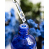 Pyunkang Yul Moisture Ampoule 100ml — ампульна есенція з консистенцією рідкого меду, стимулює синтез колагену, інтенсивне