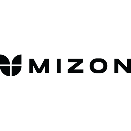 Mizon