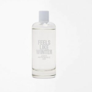 ZARA Improbable 005 Feels Like Winter 120ml