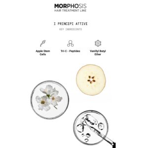 Шампунь проти випадіння волосся для чутливої шкіри голови з стовбуровими клітинами яблука, аргініном та вітамінами Е, В6 Framesi Morphosis Densifying Shampoo 250ml