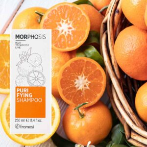 МІНІФОРМАТ Заспокійливий шампунь проти лупи на основі екст Chinotto, олії чайного дерева та клімбазолу Framesi Morphosis Purifying Shampoo 15ml