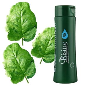 Фітоесенціальний шампунь проти лупи з екстрктами ісландського лишайнику, кореня лопуха, пантенолу, оліями перцевої, лугової м'яти Orising Antifor Shampoo 250мл