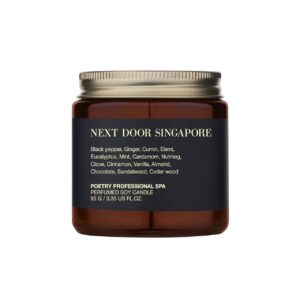 Свічка для масажу з ароматом ванілі, імбиру, кориці, мигдалю, мускусу, тютюну POETRY HOME Next Door Singapore 95g