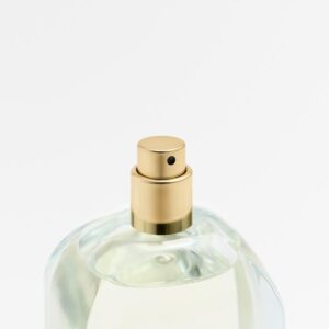 ZARA Deep Garden Nude Collection 100 ml