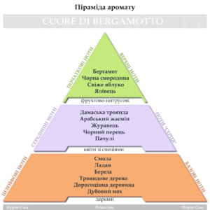 Подарунковий набір (ароматичний спрей та парфум для авто кліпса) Hypno Casa Cuore di Bergamotto
